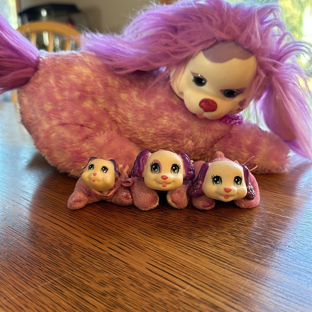 Puppy Suprise with triplets - Picture 2 of 4